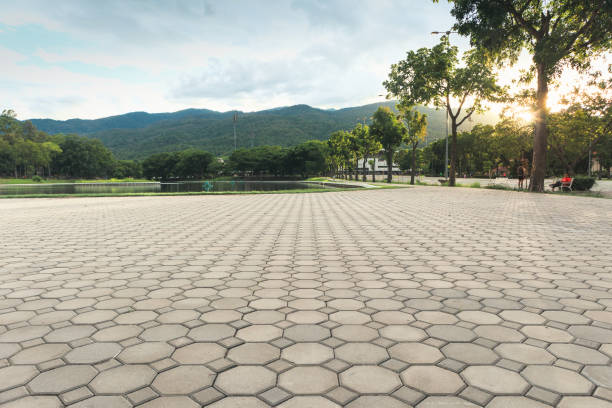 Best Driveway Pavers Near Me  in Globe, AZ